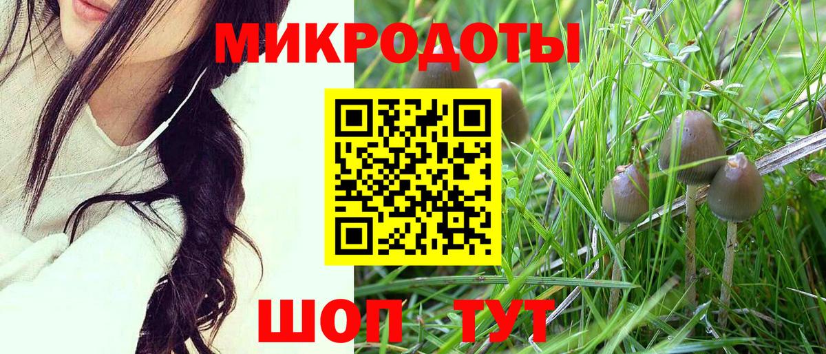 Галлюциногенные грибы прущие грибы Знаменск