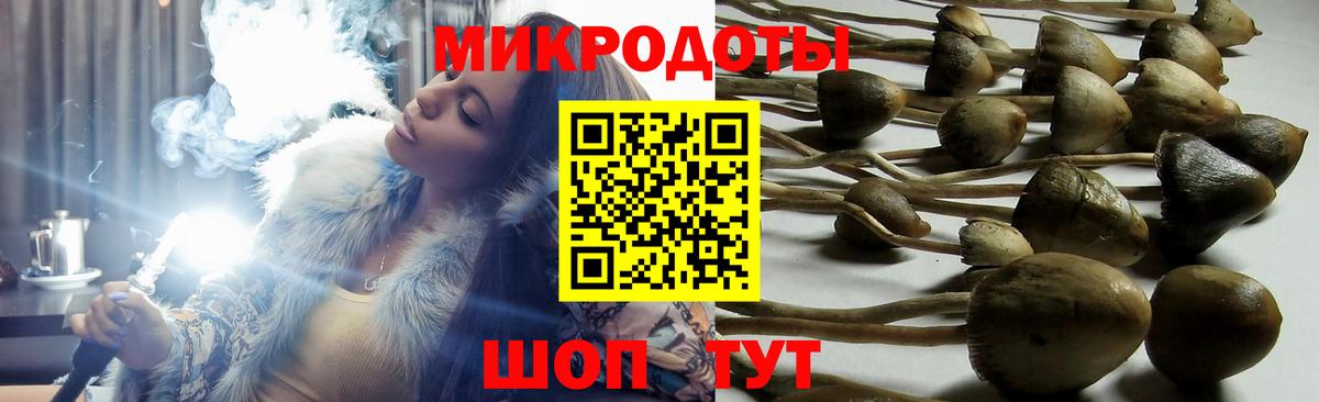 Знаменск  Псилоцибиновые грибы мицелий  Вход с VPN 