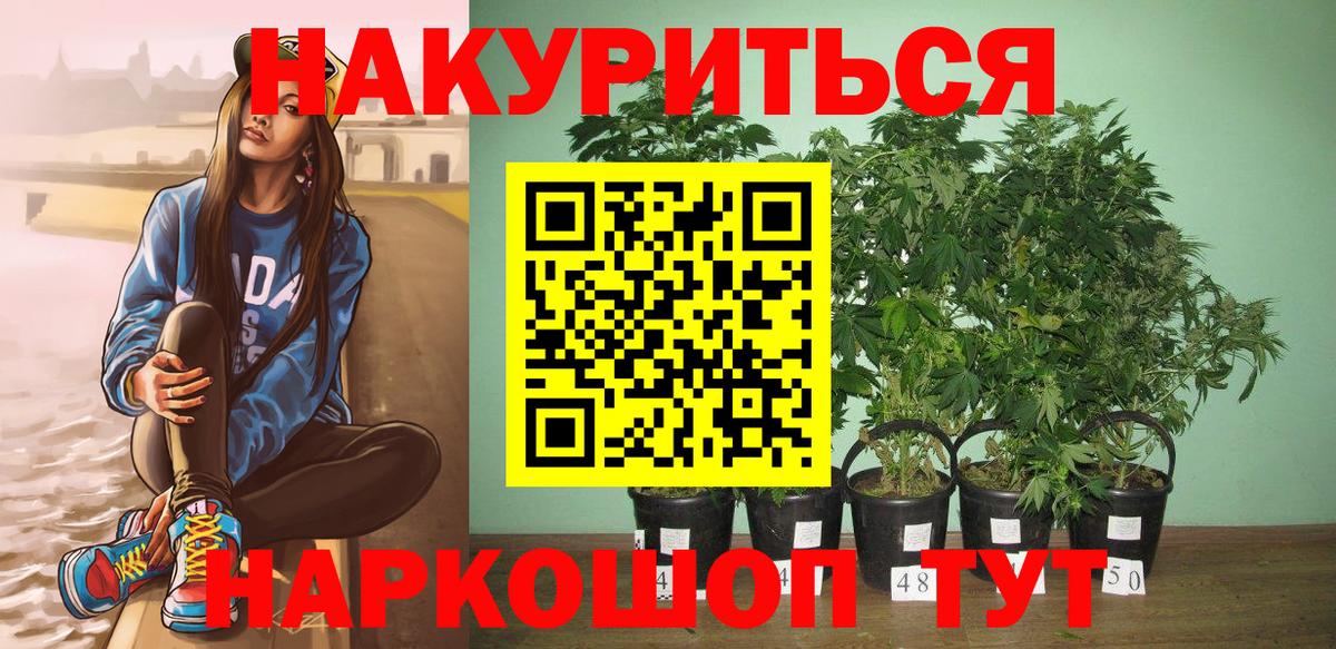 Знаменск  Марихуана White Widow  Марихуана марихуана  Бошки марихуана THC 21%  Вход с VPN 